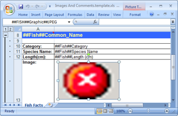TMS FlexCel Studio for VCL/LCL screenshot