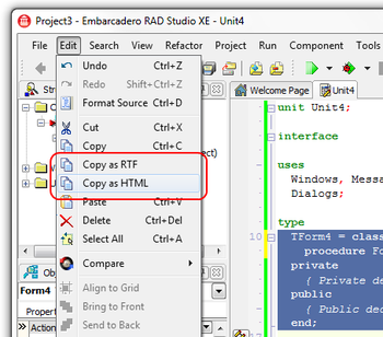TMS IDE Rich Clip for Delphi 2010 screenshot