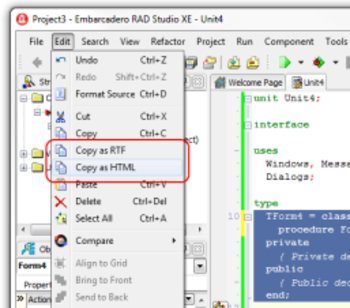 TMS IDE Rich Clip for Delphi XE3 screenshot