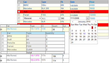 TMS IntraWeb Component Pack Pro Script Edition  screenshot