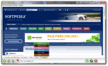 TNT SoftWorks Web Browser screenshot 3