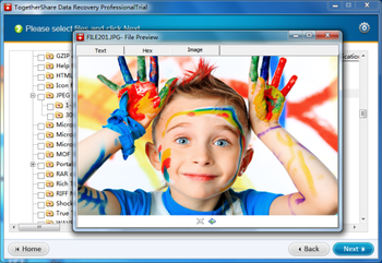 TogetherShare Data Recovery Professional screenshot 4
