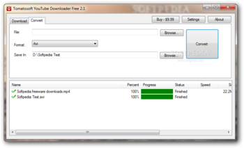 Tomatosoft YouTube Downloader screenshot 2