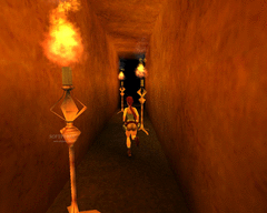 Tomb Raider Chronicles - The Lost Levels screenshot 3