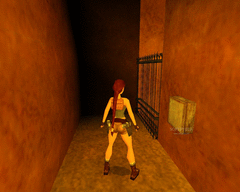 Tomb Raider Chronicles - The Lost Levels screenshot 4