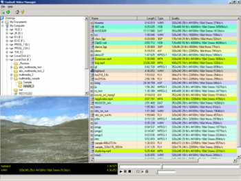 Toolsoft Video Manager screenshot