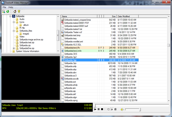 Toolsoft Video Manager screenshot
