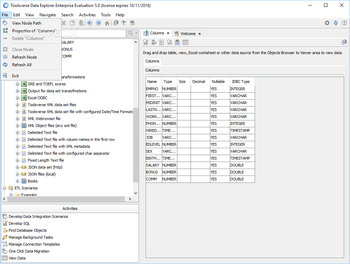 Toolsverse Data Explorer Enterprise screenshot 2