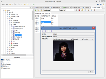Toolsverse Data Explorer screenshot