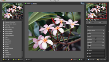 Topaz Adjust screenshot