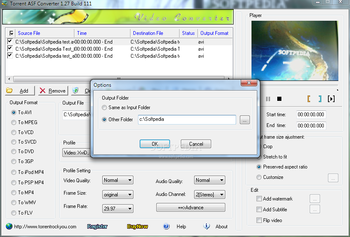 Torrent ASF Converter screenshot 3