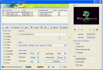 Torrent AVCHD Converter screenshot 2