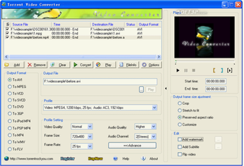 Torrent AVCHD Converter screenshot 3