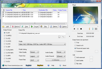 Torrent FLV Converter screenshot