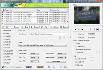 Torrent MTS Converter screenshot