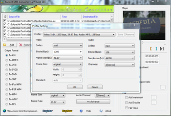 Torrent MTS Converter screenshot 2