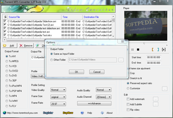 Torrent MTS Converter screenshot 3