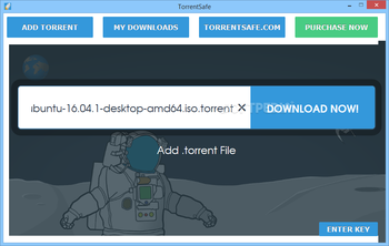 TorrentSafe screenshot