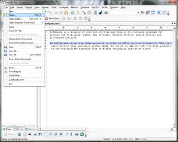 TotalEdit Pro screenshot