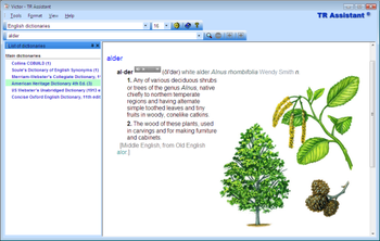 TR Assistant Dictionary screenshot