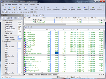 TracePlus Web Detective (Standard Edition) screenshot 3