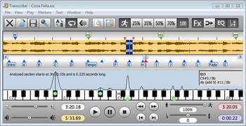 Transcribe! for Windows screenshot 2