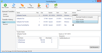 TransferBigFiles screenshot