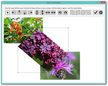 Transform Box screenshot