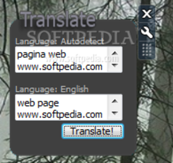 Translate screenshot