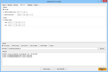 Transport Stream muxer (tsMuxeR) screenshot 10