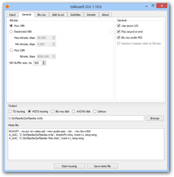 Transport Stream muxer (tsMuxeR) screenshot 2