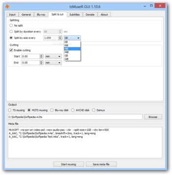 Transport Stream muxer (tsMuxeR) screenshot 4
