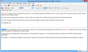 Transsoftware Professional Translator English-German screenshot