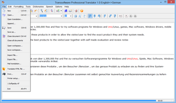 Transsoftware Professional Translator English-German screenshot 2