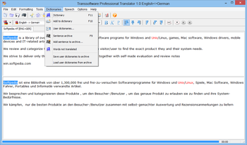 Transsoftware Professional Translator English-German screenshot 7