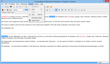 Transsoftware Professional Translator English-German screenshot 8