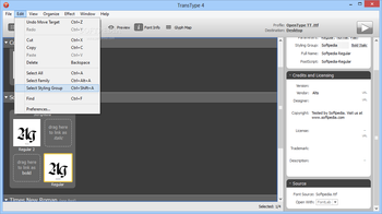 TransType (formerly TransType SE) screenshot 3