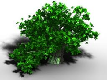 TreeGenerator screenshot 4