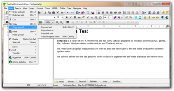 TreePad Business Edition screenshot 3