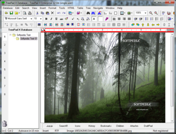 TreePad X Enterprise 12 Gb single-user screenshot