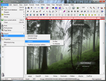 TreePad X Enterprise 12 Gb single-user screenshot 2