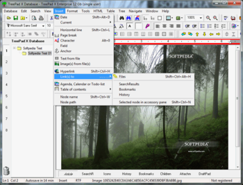 TreePad X Enterprise 12 Gb single-user screenshot 4