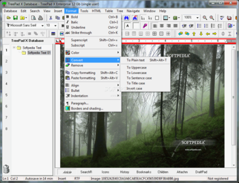 TreePad X Enterprise 12 Gb single-user screenshot 5