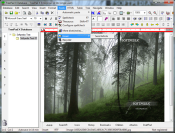 TreePad X Enterprise 12 Gb single-user screenshot 6