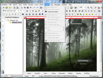 TreePad X Enterprise 12 Gb single-user screenshot 7