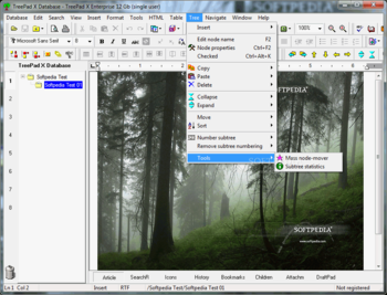 TreePad X Enterprise 12 Gb single-user screenshot 8