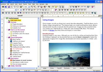 TreePad X Enterprise 384 Gb single-user screenshot 3