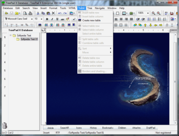 TreePad X Enterprise screenshot 3