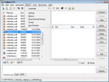 Trellian FTP screenshot 2