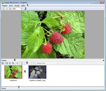 Triaxes StereoTracer screenshot